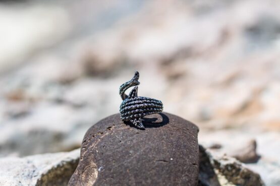 whale shark ring 3